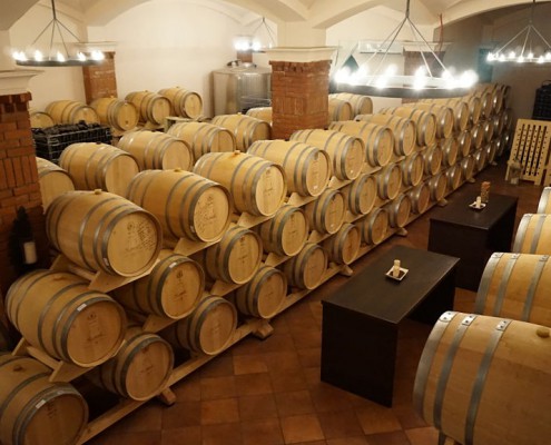 Vinrejse Makedonien Winery Kamnik