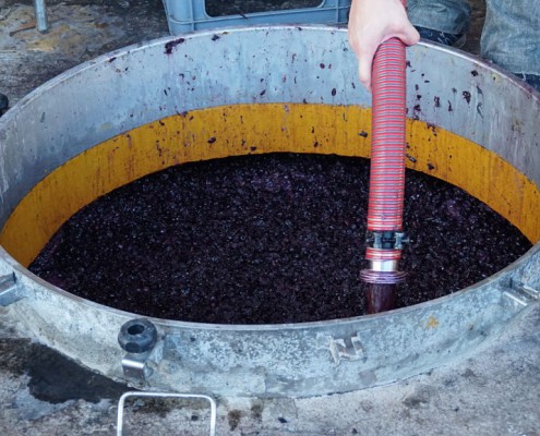 Vinrejse Makedonien Winery Tikves